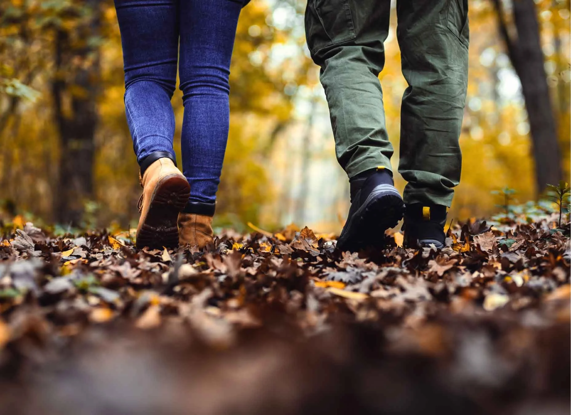 A wide woodland path with two figures walking together side-by-side in the distance, illustrating how walking-side-by-side softens conversational intensity